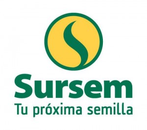 Logo Sursem
