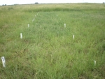 53.jpg